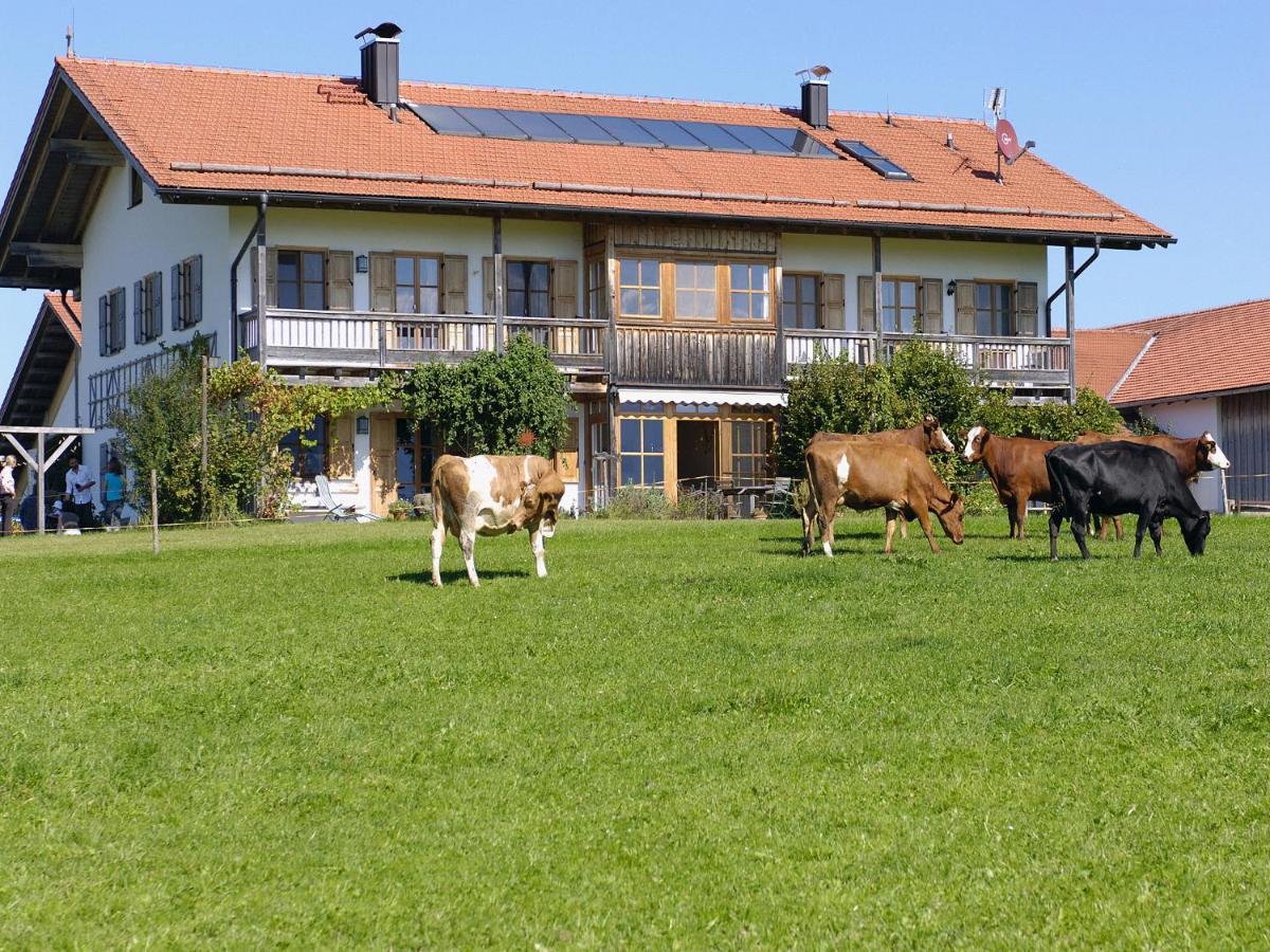Seeleitenhof Sindelsdorf Extérieur photo